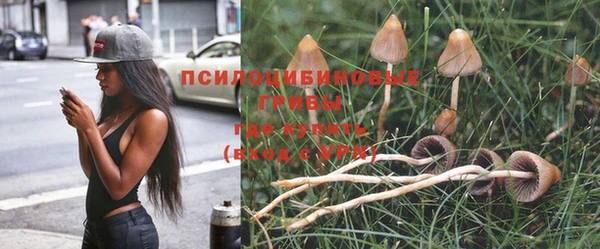 марихуана Новокубанск