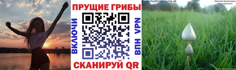 Псилоцибиновые грибы Magic Shrooms  как найти закладки  Анапа 