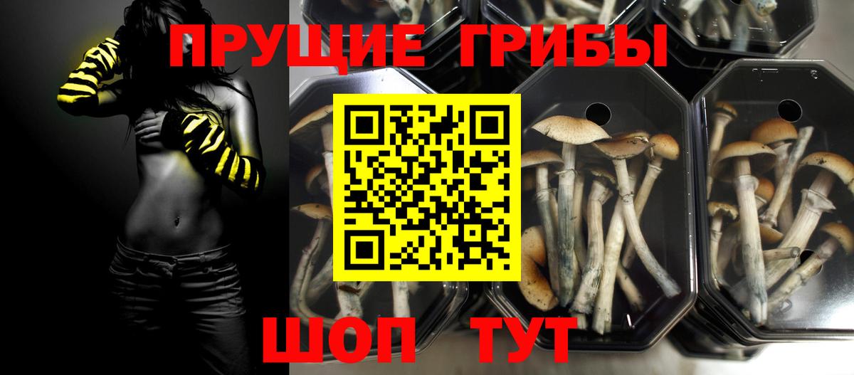 Анапа  Галлюциногенные грибы Cubensis  Вход с VPN 